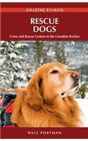 Rescue Dogs