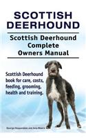 Scottish Deerhound. Scottish Deerhound Complete Owners Manual. Scottish Deerhound book for care, costs, feeding, grooming, health and training.