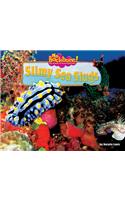Slimy Sea Slugs