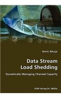 Data Stream Load Shedding - Dynamically Managing Channel Capacity