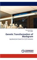 Genetic Transformation of Blackgram