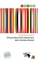 Chrysoteuchia Topiarius