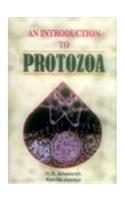 An Introduction To Protozoa