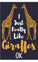 I Just Really Like Giraffes, OK