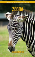 Zebra: Sagenhafte Bilder und Fakten