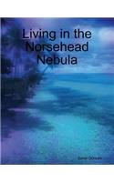Living in the Norsehead Nebula