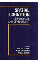 Spatial Cognition