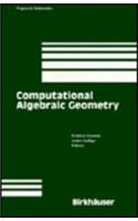 Computational Algebraic Geometry