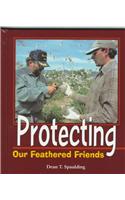 Protecting Our Feathered Friends