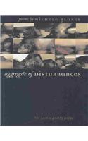 Aggregate of Disturbances