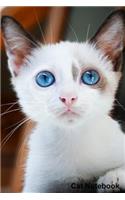 Cat Notebook