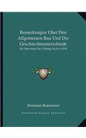 Bemerkungen Uber Den Allgemeinen Bau Und Die Geschlechtsunterschiede