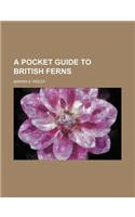 A Pocket Guide to British Ferns