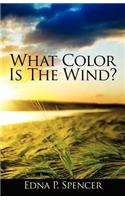 What Color Is the Wind?: (English)