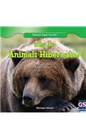 Why Do Animals Hibernate?