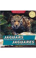 Jaguars and Other Latin American Wild Cats / Jaguares Y Otros Felinos de Latinoamérica