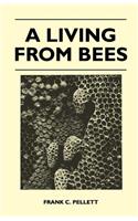 A Living from Bees