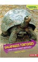 Galpagos Tortoises: Long-Lived Giant Reptiles