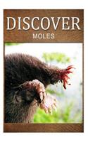 Moles - Discover: Early reader's wildlife photography book