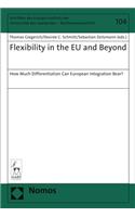 Flexibility in the EU and Beyond