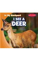 I See a Deer