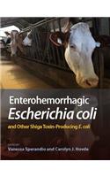 Enterohemorrhagic Escherichia Coli and Other Shiga Toxin-Producing E. Coli