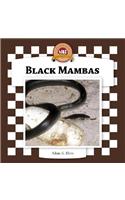 Black Mambas