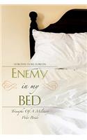 Enemy In My Bed