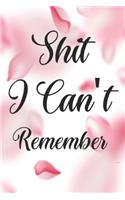 Shit I Can't Remember