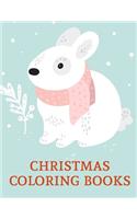 Christmas Coloring Books: Funny, Beautiful and Stress Relieving Unique Design for Baby, kids learning(7 Colrful Animals)