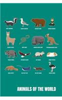 Animals Of The World
