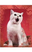 Cute White Cat Singing Composition Notebook, Wide Ruled: Lined Student Exercise Book