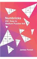 250 Numbricks 9x9 easy to medium puzzles: Numbricks puzzle books for adults