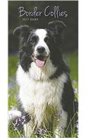 Border Collies Slim D 2017 (Diary Slim)