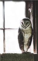 Barn Owl - Blank Notebook - 5