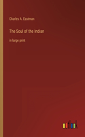 Soul of the Indian: in large print