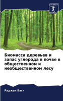 Биомасса деревьев и запас углерода в почв&#107