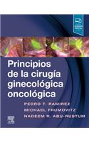 Principios de la Cirugía Ginecológica Oncológica