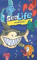 Sea Life Coloring Book