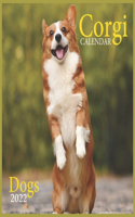 Corgi CALENDAR 2022 Dogs: Official Corgi Calendar 2022,12 Months, Square Calendar 2022, Dogs Calendar 2022