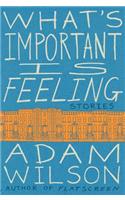 What's Important Is Feeling: Stories(English)