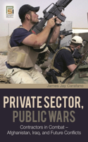 Private Sector, Public Wars