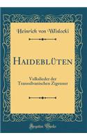 Haideblüten: Volkslieder der Transsilvanischen Zigeuner (Classic Reprint)