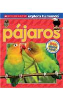 Scholastic Explora Tu Mundo: Pajaros: (Spanish Language Edition of Scholastic Discover More: Birds)