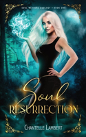 Soul Resurrection (Soul Weavers Duology Book One)