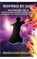 Testimony of A Blood Washed Sorcerer