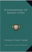 Fundamentals of Botany (1916)