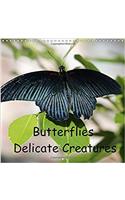 Butterflies Delicate Creatures 2017