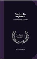 Algebra for Beginners: With Numerous Examples