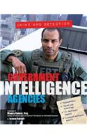 Government Intelligence Agencies